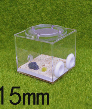 Vierkante Mierenboerderij van Acryl - Unieke Activiteitruimte 7x7x7cm