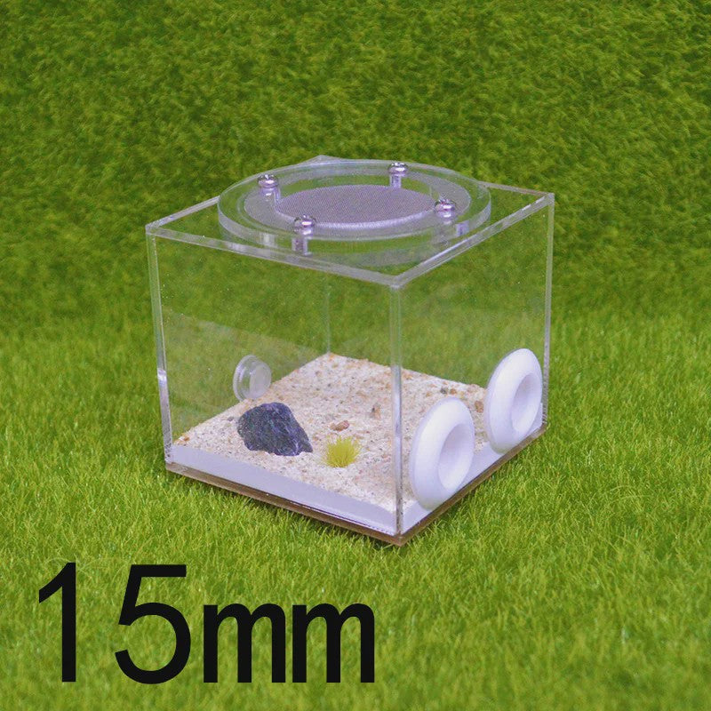 Vierkante Mierenboerderij van Acryl - Unieke Activiteitruimte 7x7x7cm