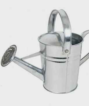 Vintage Gietijzeren Gieter - 2.3L & 5L - Roestvrij & Stijlvol voor Binnen & Buiten Tuinplanten