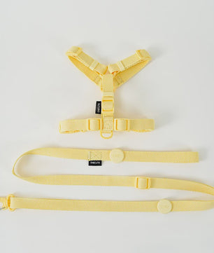 Verstelbaar Hondentuigje met Lijn & Halsband Set - Macaron Kleuren - Reflecterend & Comfortabel