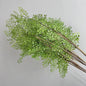 Realistische Kunstvaren Takken - Handgemaakt & Elegant Groen Decor