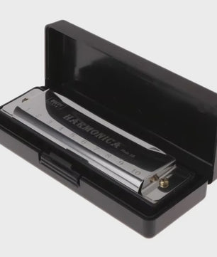 Diatonische Mondharmonica in C - 10 Gaten - Ideaal voor Beginners & Kinderen - Inclusief Hoesje