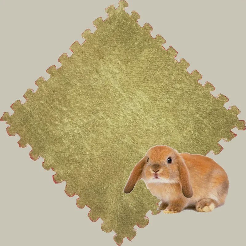 Set van 10 Waterdichte & Absorbente Bodembedekking Matten voor Kleine Huisdieren (Konijn, Cavia)