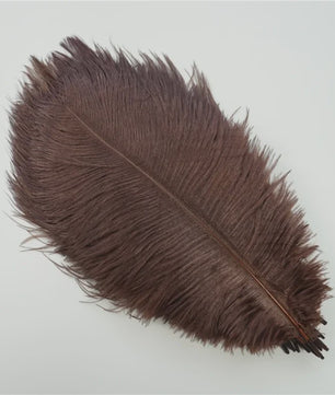 Set van 10 Gekleurde Struisvogelveren voor Knutselen, Decoratie en Feesten
