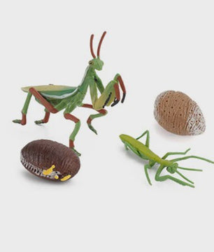 Educatieve Levenscyclus Figuren: Snail, Mantis & Sprinkhaan