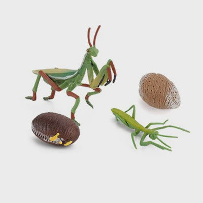 Educatieve Levenscyclus Figuren: Snail, Mantis & Sprinkhaan