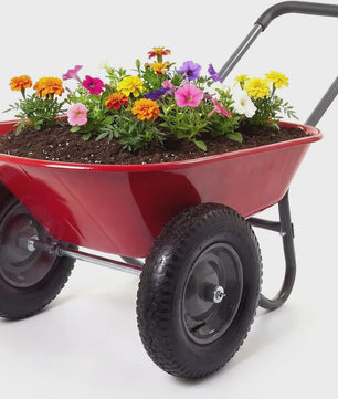 Stevige 2-wiel kruiwagen voor tuin en buiten – 120 kg capaciteit, ijzeren bak & kunststof