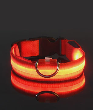 LED Hondenhalsband - Oplaadbaar en Verstelbaar voor Maximale Zichtbaarheid in het Donker
