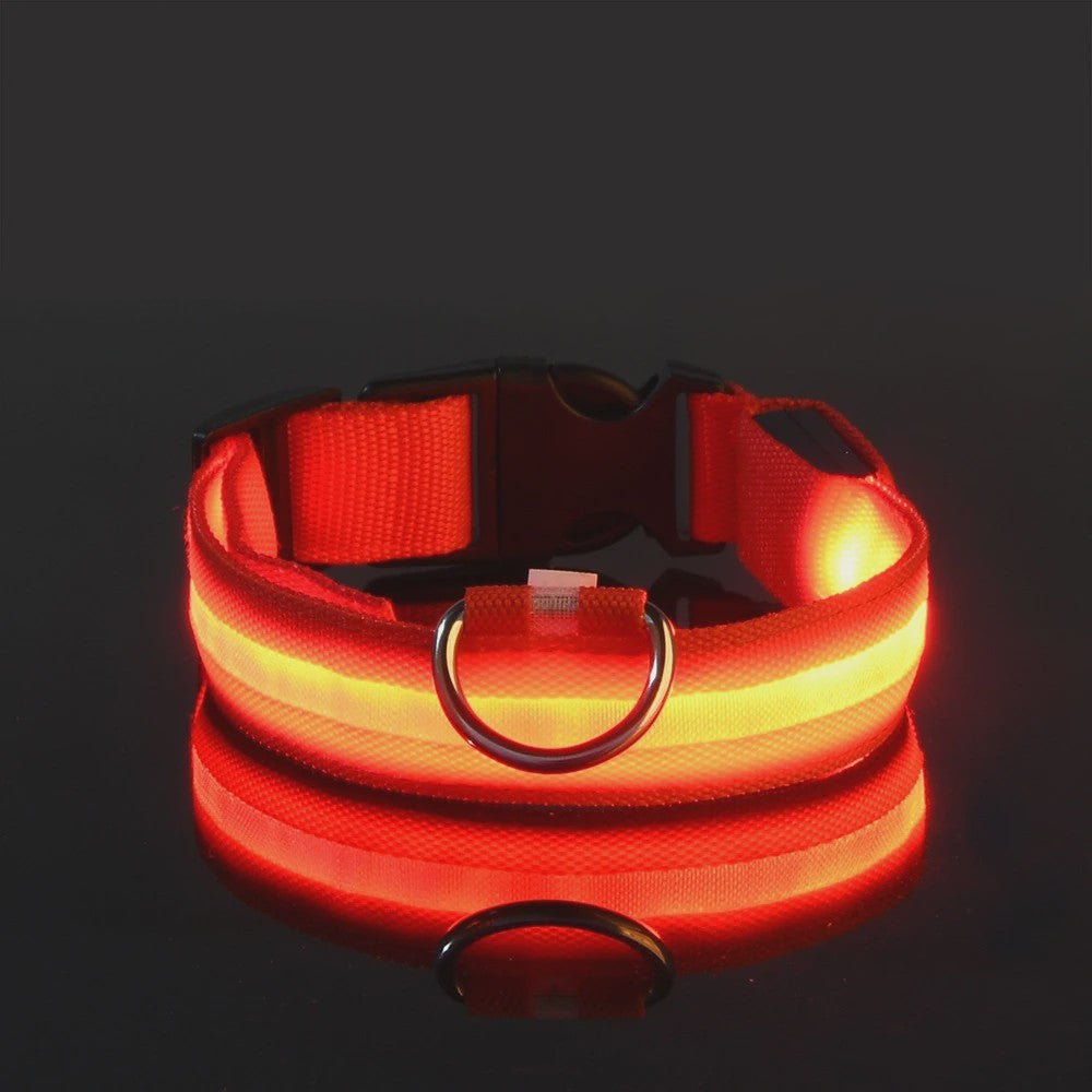 LED Hondenhalsband - Oplaadbaar en Verstelbaar voor Maximale Zichtbaarheid in het Donker
