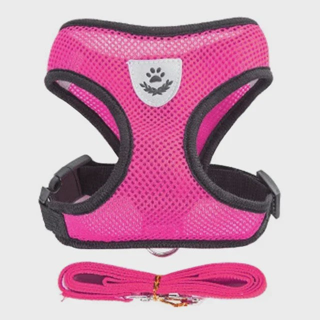 Verstelbaar Katten Tuigje met Lijn - Ademend Mesh Vest voor Kleine Honden & Katten