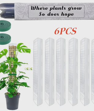 Mospaal voor Klimplanten - Stevige Plantensteun voor Binnen & Tuin