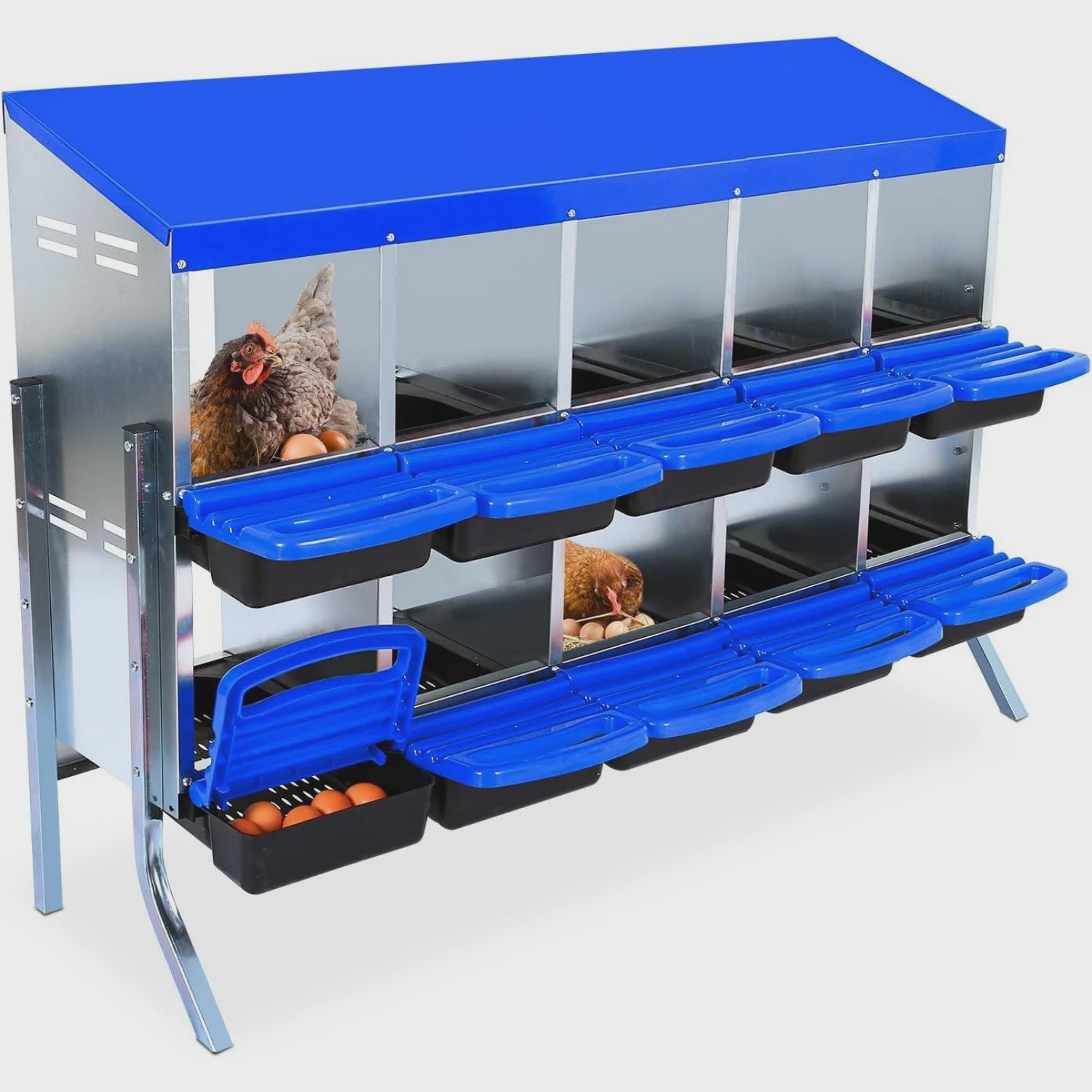 Stabiele Metalen Kippen Nestkast met Stand - 12 Vakken - Automatische Ei-verzameling