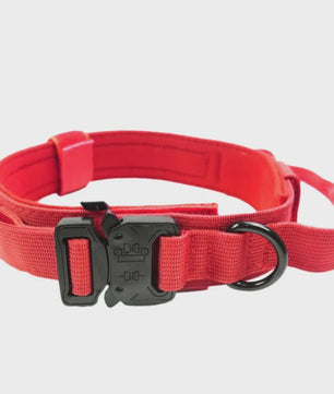 Sterke Tactische Hondenhalsband met Metalen Gesp - Nylon, Verstelbaar voor Training & Dagelijks Gebruik