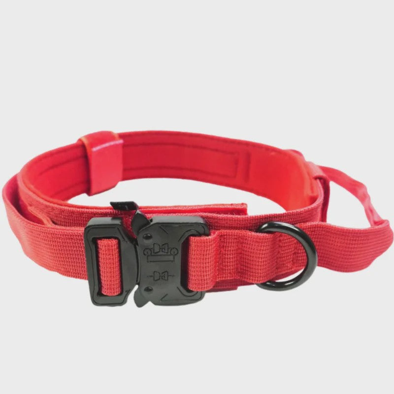 Sterke Tactische Hondenhalsband met Metalen Gesp - Nylon, Verstelbaar voor Training & Dagelijks Gebruik