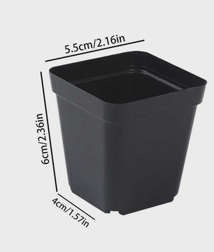 50 Stuks Vierkante Plastic Kweekpotjes voor Zaailingen en Planten
