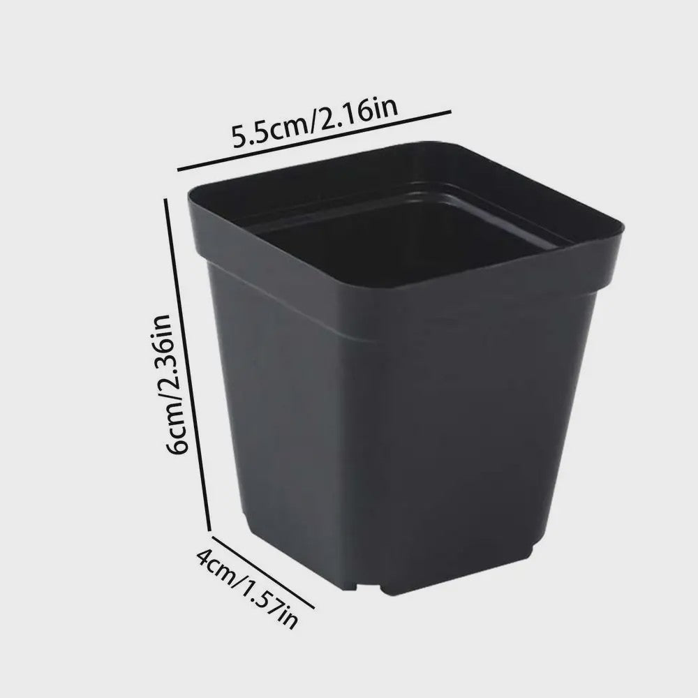50 Stuks Vierkante Plastic Kweekpotjes voor Zaailingen en Planten