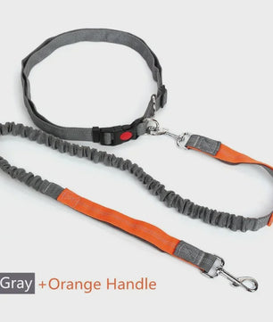 Handsfree Hondenriem met Verstelbare Tailleband - Ideaal voor Hardlopen, Joggen & Fietsen met Grote Honden