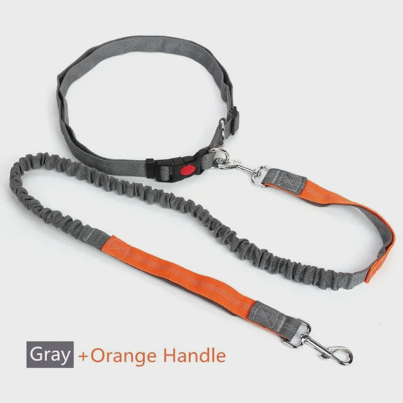 Handsfree Hondenriem met Verstelbare Tailleband - Ideaal voor Hardlopen, Joggen & Fietsen met Grote Honden