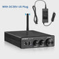 AIYIMA A07 PRO Bluetooth 5.2 Versterker TPA3255 - 2x 300W Stereo Digitale Audio Versterker met RCA & APT-X HD