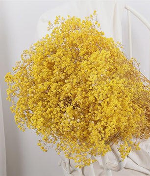 60g Gedroogde Baby's Breath Bloemboeket - Natuurlijke Gypsophila Decoratie