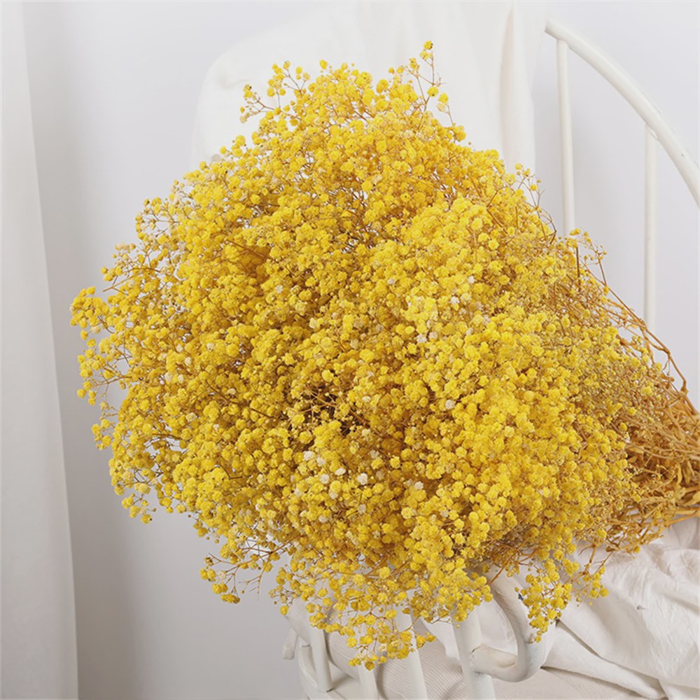 60g Gedroogde Baby's Breath Bloemboeket - Natuurlijke Gypsophila Decoratie