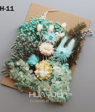 Set Gedroogde Bloemen & Hydrangea voor Ambacht & Decoratie