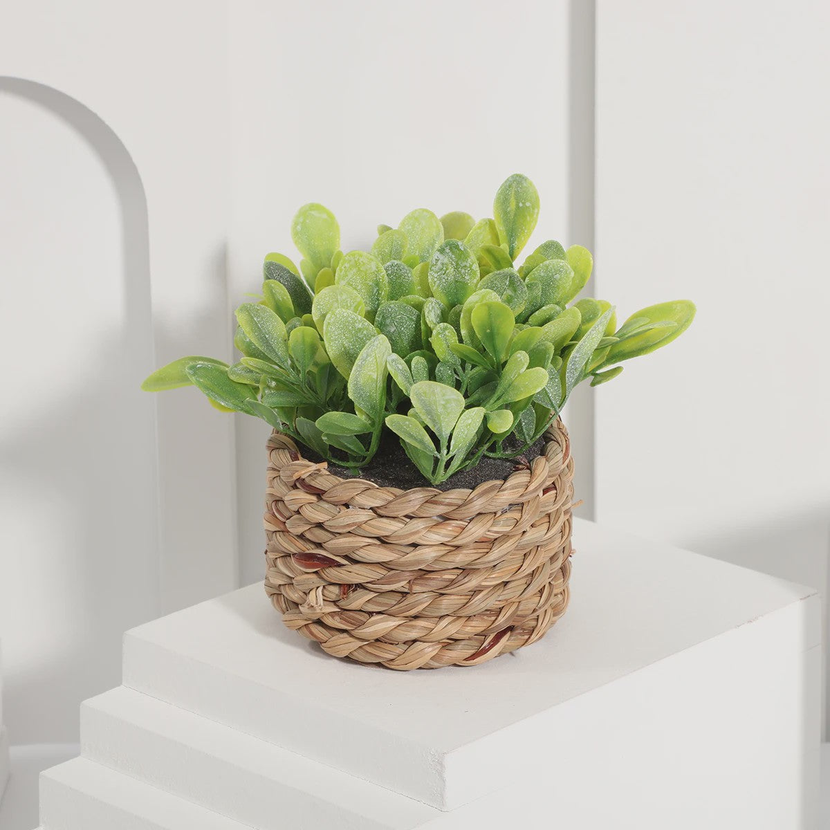 Kunstplant Eucalyptus Gras in Geweven Pot - Groen, 11cm