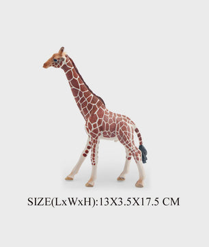 Realistische Wilde Dieren Figuren Set: Okapi, Giraf, Gnu & Zebra - Educatief Speelgoed voor Kinderen