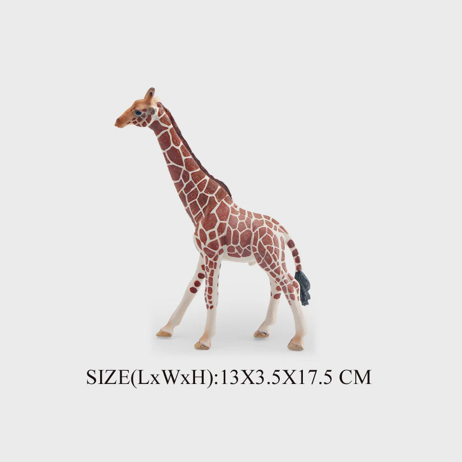 Realistische Wilde Dieren Figuren Set: Okapi, Giraf, Gnu & Zebra - Educatief Speelgoed voor Kinderen