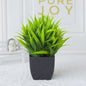 Kunstplant in Zwarte Pot - Decoratieve Groene Plant voor Huis, Kantoor & Feest