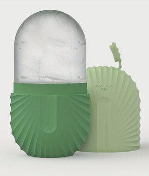 Gezichtsroller & Gua Sha Set: Luxe Roestvrij Staal & IJsroller voor Huidverzorging