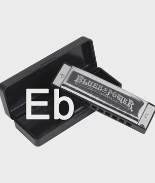 Professionele Diatonische Blues Harmonica - 10 Gaten, 20 Tonen, Inclusief Koffer