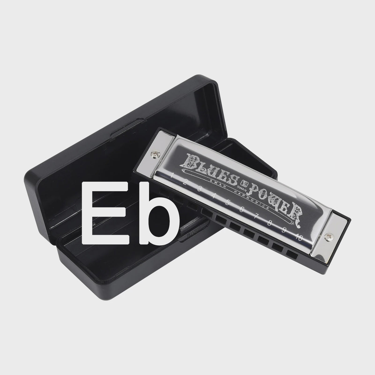 Professionele Diatonische Blues Harmonica - 10 Gaten, 20 Tonen, Inclusief Koffer