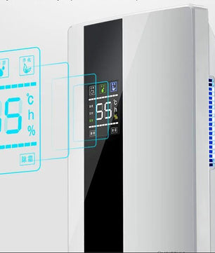 2-in-1 Luchtontvochtiger en Luchtreiniger met Afstandsbediening – Ionisator en Vochtigheidsdisplay