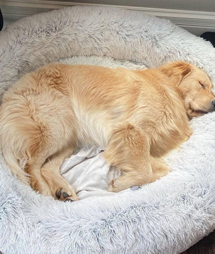 Fluffy Ondersteunend Hondenbed - Donut