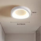 Minimalistische LED Plafondlamp – Acryl Binnenverlichting voor Hal, Entree & Balkon