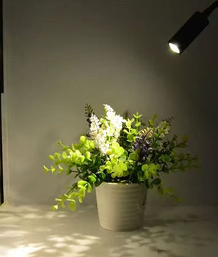 Plug Bedrade Zwanenhals LED Wandlamp 3W – Flexibel Lezen en Slaapkamerlicht