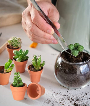 Set van 50 Mini Terracotta Bloempotten – Kleine Kleipotten met Drainagegaten voor Vetplanten en Cactussen