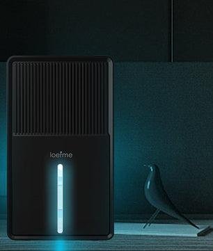 Compacte Luchtontvochtiger 3L – Stil met Luchtreiniging, Droogfunctie en RGB Verlichting