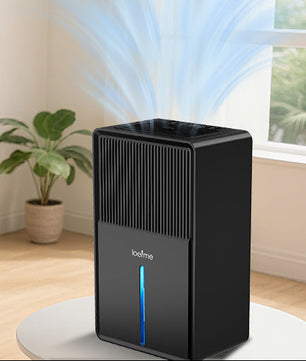 Compacte Luchtontvochtiger 3L – Stil met Luchtreiniging, Droogfunctie en RGB Verlichting