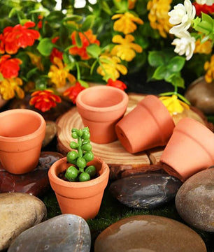 Set van 50 Mini Terracotta Bloempotten – Kleine Kleipotten met Drainagegaten voor Vetplanten en Cactussen