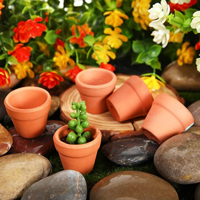 Set van 50 Mini Terracotta Bloempotten – Kleine Kleipotten met Drainagegaten voor Vetplanten en Cactussen