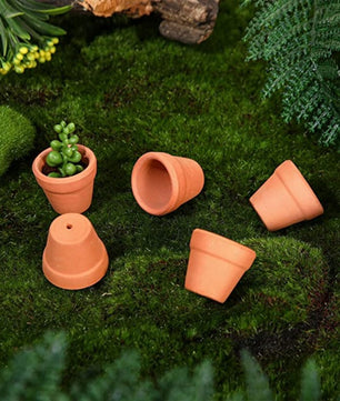 Set van 50 Mini Terracotta Bloempotten – Kleine Kleipotten met Drainagegaten voor Vetplanten en Cactussen