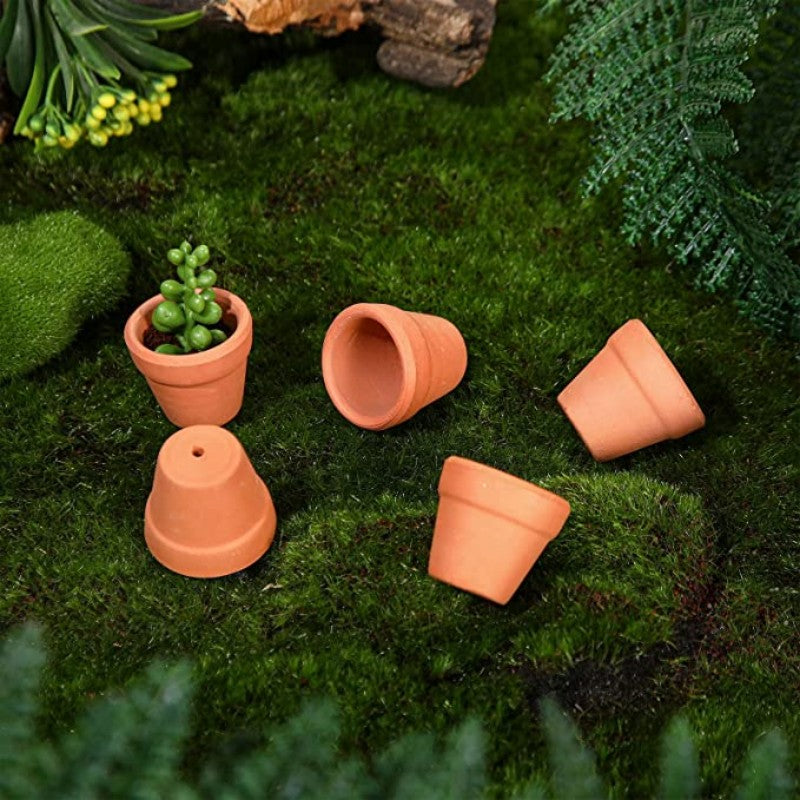 Set van 50 Mini Terracotta Bloempotten – Kleine Kleipotten met Drainagegaten voor Vetplanten en Cactussen