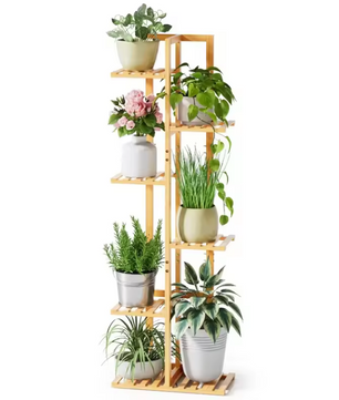Plantenrek van Bamboe - 5 / 6 Niveaus