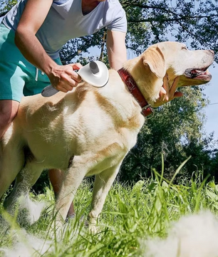 Huisdierenborstel - Zelfreinigende Borstel voor Honden en Katten