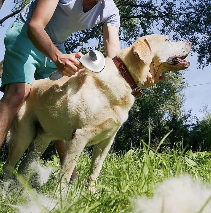 Huisdierenborstel - Zelfreinigende Borstel voor Honden en Katten