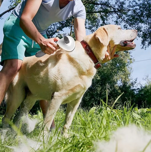 Huisdierenborstel - Zelfreinigende Borstel voor Honden en Katten