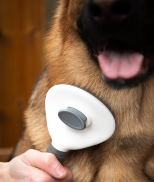 Huisdierenborstel - Zelfreinigende Borstel voor Honden en Katten