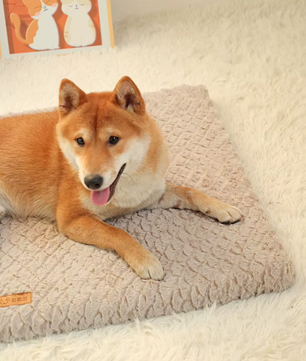 Orthopedisch Kussen voor Honden, Ademend Hondenbed met Traagschuimvulling, Beschikbaar in Maten S-XXL